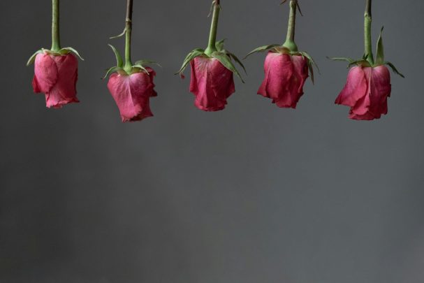 Süßes Valentinstag-Geschenk personalisiert